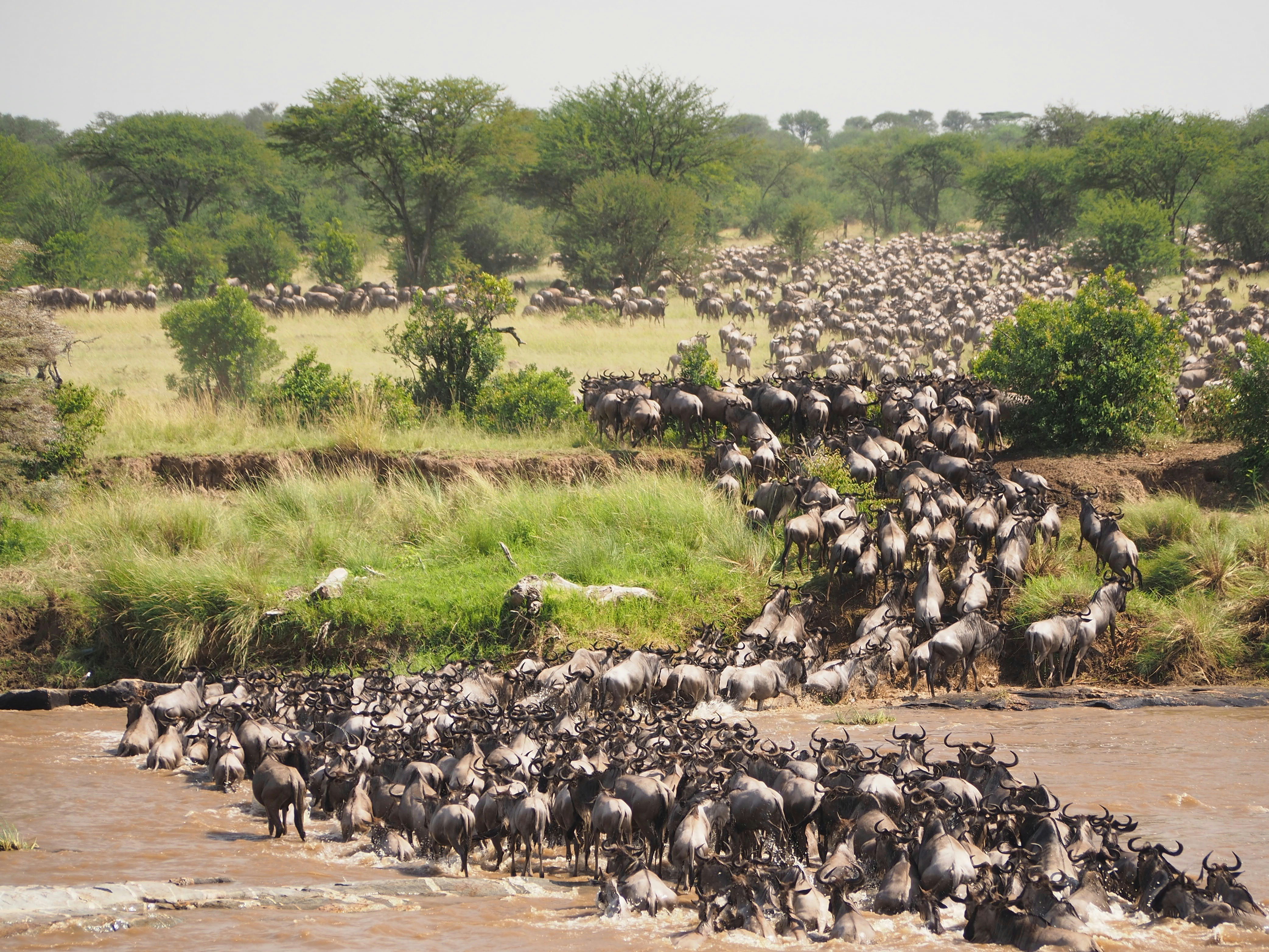 Serengeti National Park